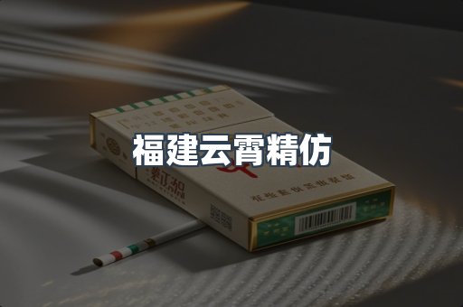 福建云霄精仿